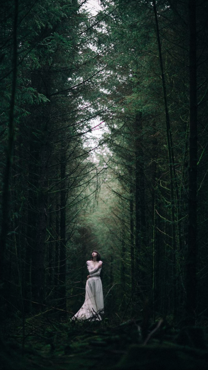 O bosque